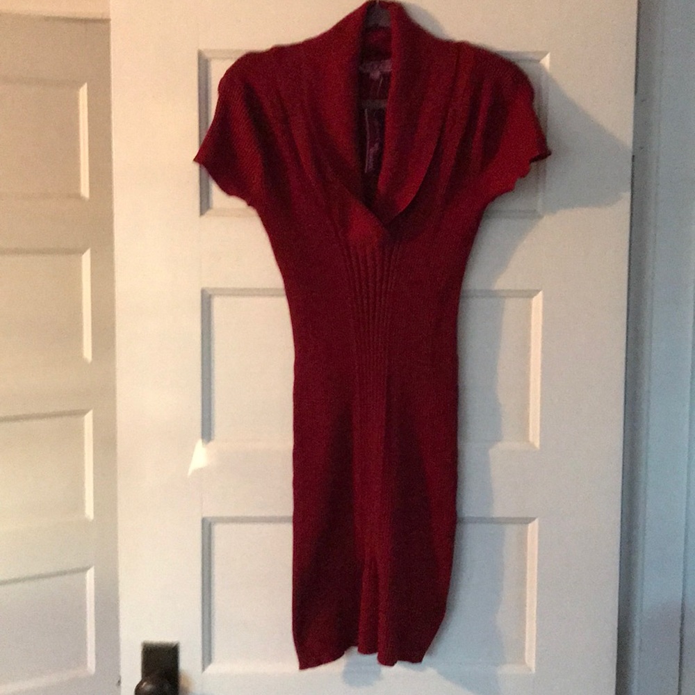 Ruby knit sweater dress. Derek heart, medium.